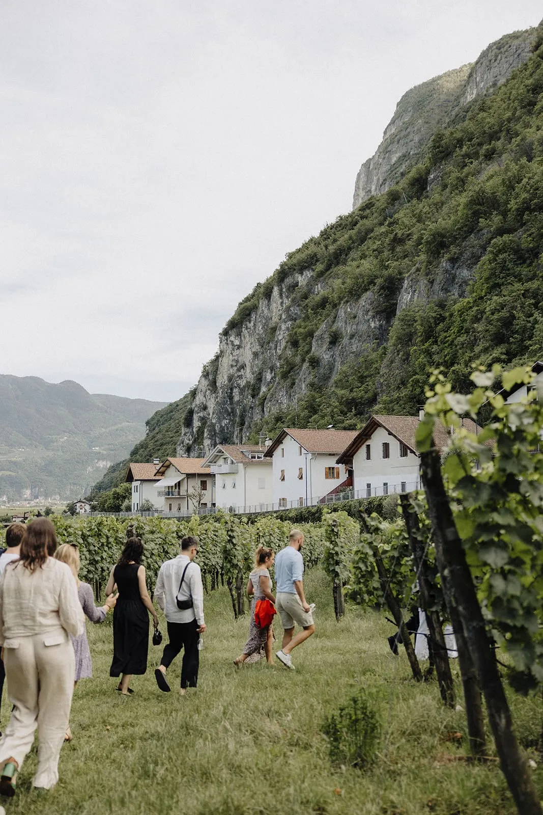 Guests walking through the vineyard below the rock face